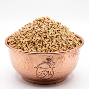 پروتئین سویا