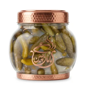 خیارشور خانگی
